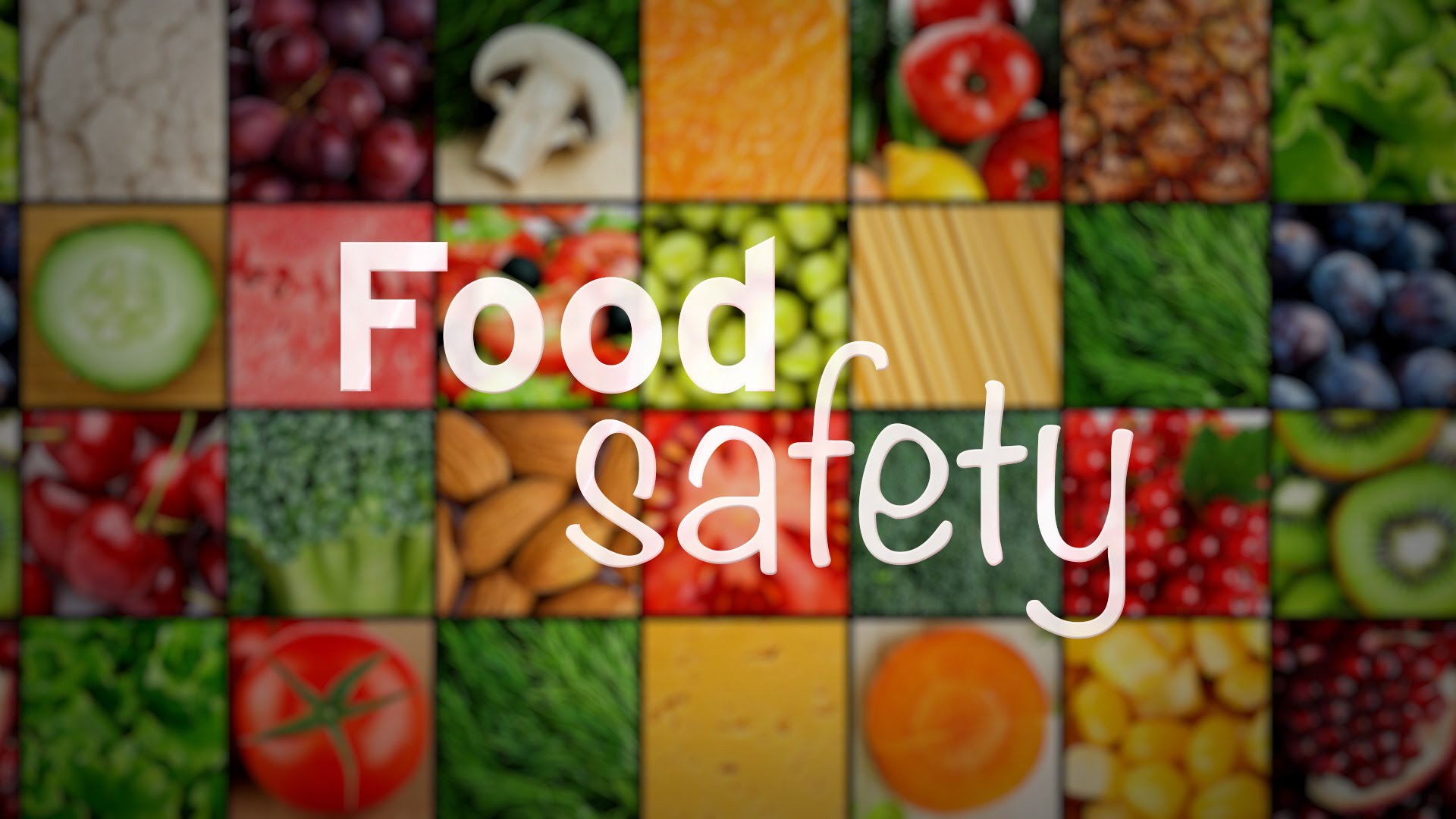 Food Safety Lead Auditor Course: A Path to Excellence