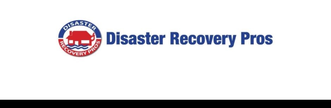 Disaster Recovery Pros Cover Image