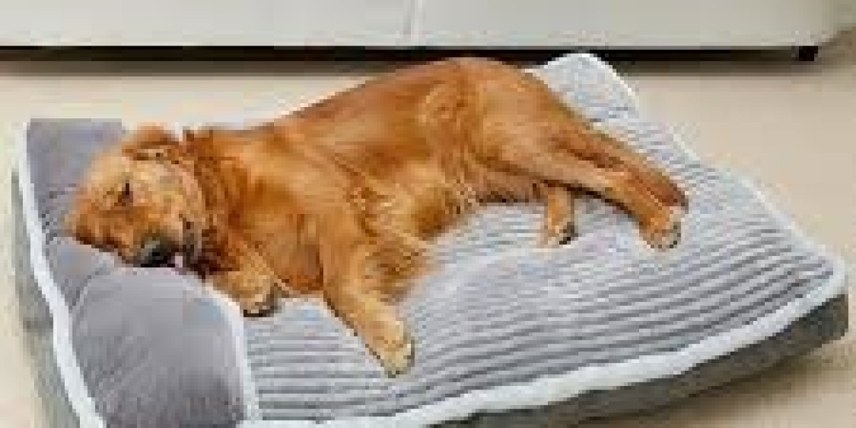 The Ultimate Guide to Choosing the Perfect Dog Bed