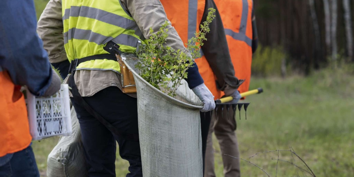 Affordable Tree Service : Keeping Your Trees Healthy