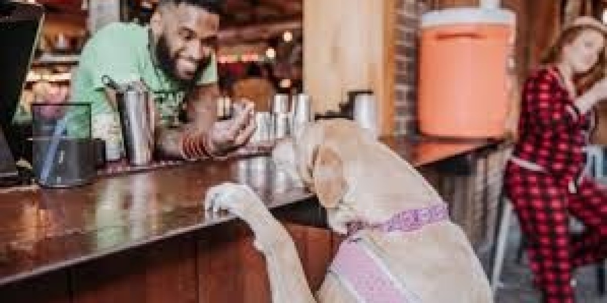 Dog Friendly Restaurant in Raleigh: Where You Can Dine Out with Your Dog